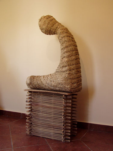 63.jpg