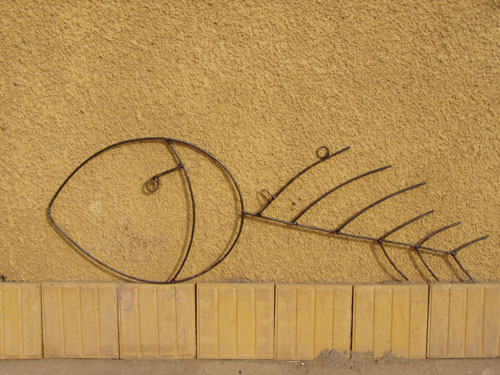 P1010017.jpg