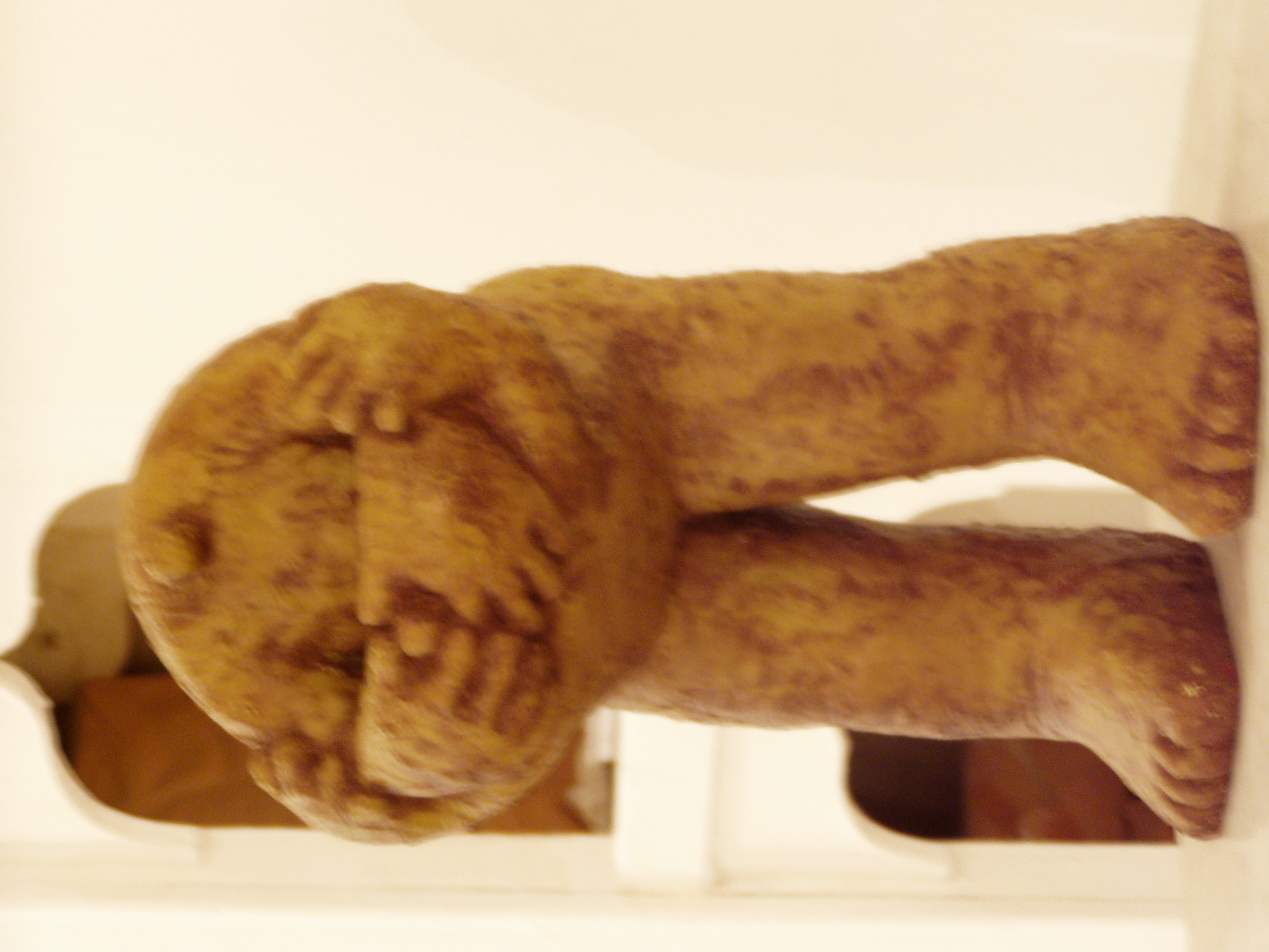 P1010032.JPG